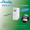 Shelly 3EM 63W Smart-Meter für Trucki (Test)